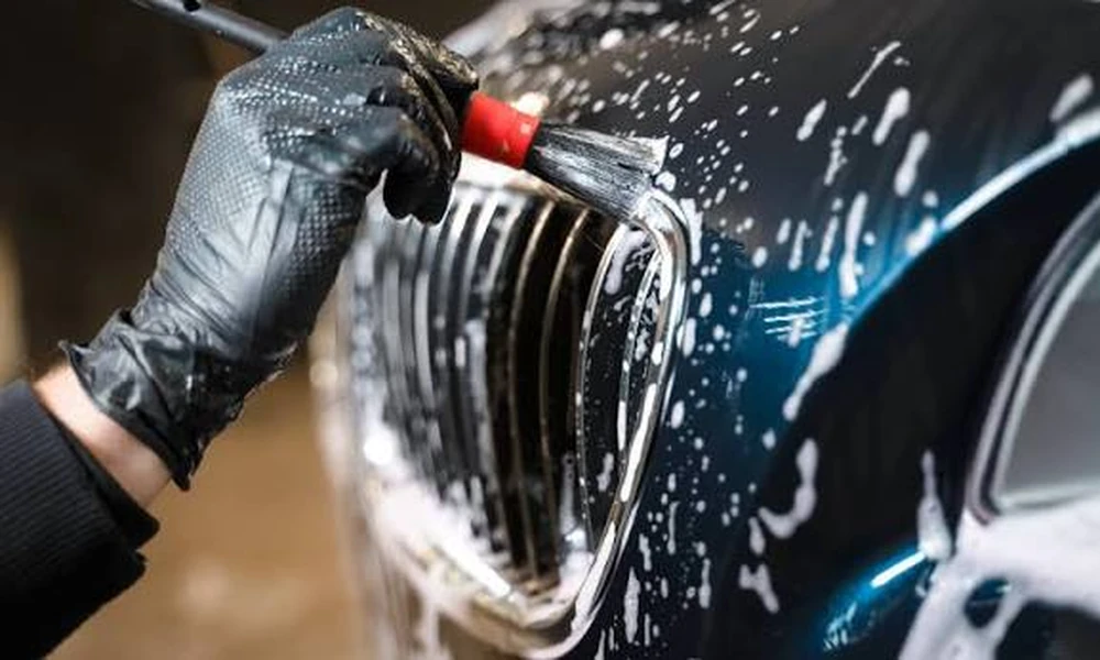 How to Remove Pet Hair From Car Interiors the Right Way